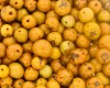 Paxiubão amarelo - Embalagem (D) 50 sementes